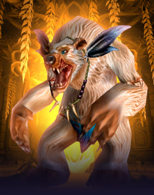 Timbermaw Hold Reputation WoW Classic Hardcore