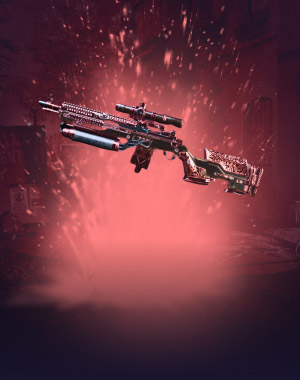 The Doctor Home Exotic Rifle Boost