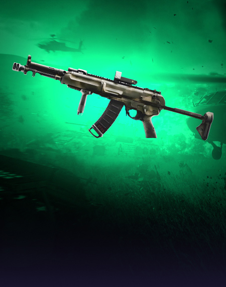 Assault Rifles Leveling